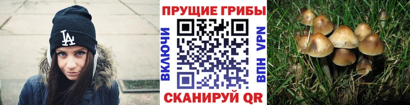 Галлюциногенные грибы Cubensis  что такое наркотик  Рязань 
